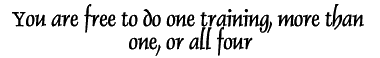 You are free to do one training, more than one, or all four